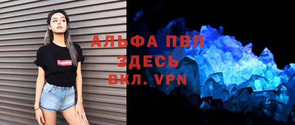 стаф Богданович
