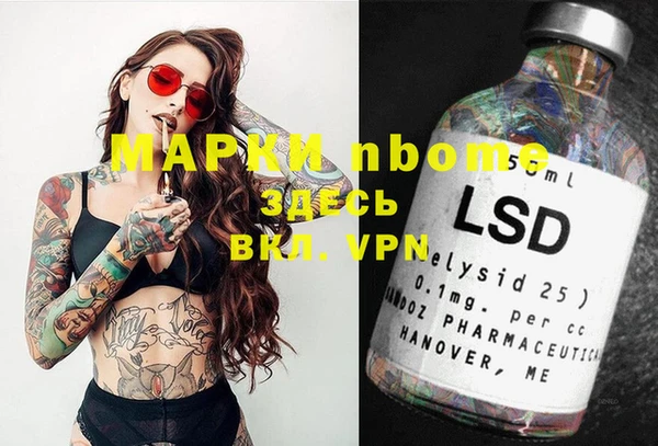 стаф Богданович