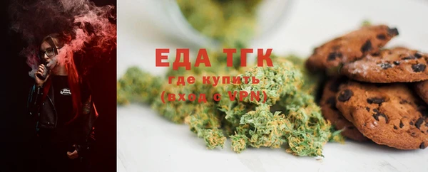 стаф Богданович