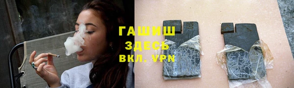 стаф Богданович