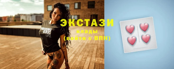 стаф Богданович