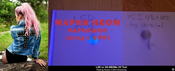 стаф Богданович