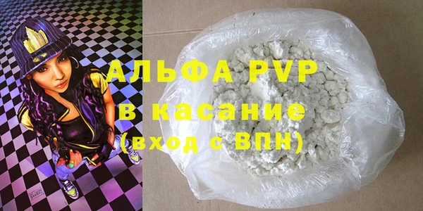 стаф Богданович