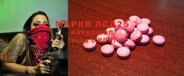 стаф Богданович