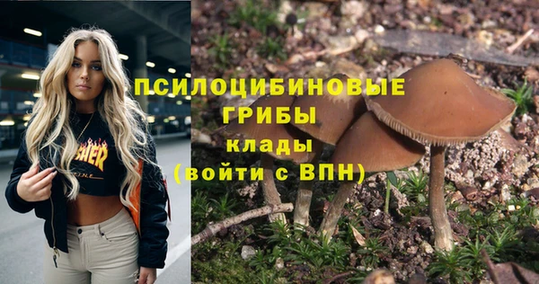 apvp Богородск
