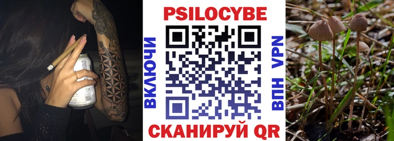 Купить  Октябрьск  Галлюциногенные грибы Psilocybe 